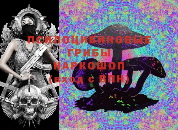 молекула духа Алексеевка