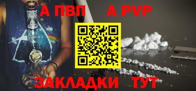 амф Кингисепп