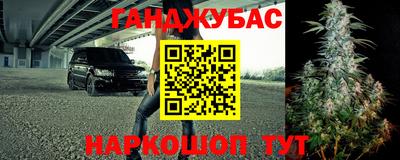 амф Кингисепп