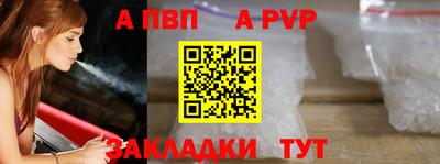 амф Кингисепп