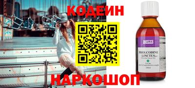 амф Кингисепп