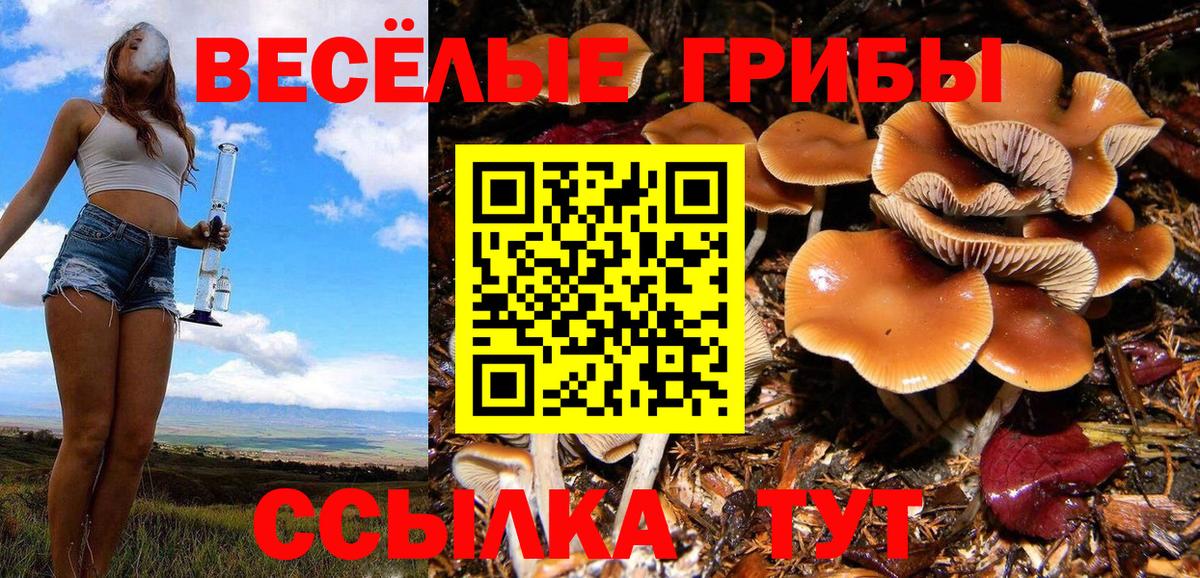Морозовск  Псилоцибиновые грибы ЛСД  Вход с VPN 